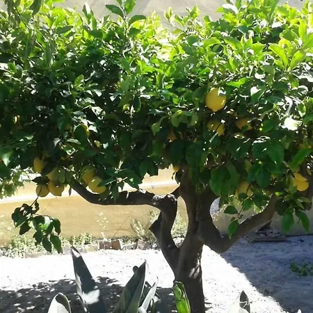 La Casa Di Titti E Jack Hébergement de vacances