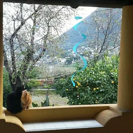 La Casa Di Titti E Jack Hébergement de vacances Malfa (Salina)