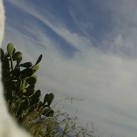 La Casa Di Titti E Jack Feriehus