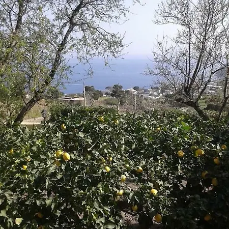 La Casa Di Titti E Jack *