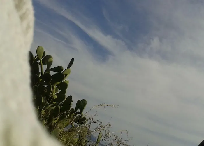 La Casa Di Titti E Jack Сasa de vacaciones