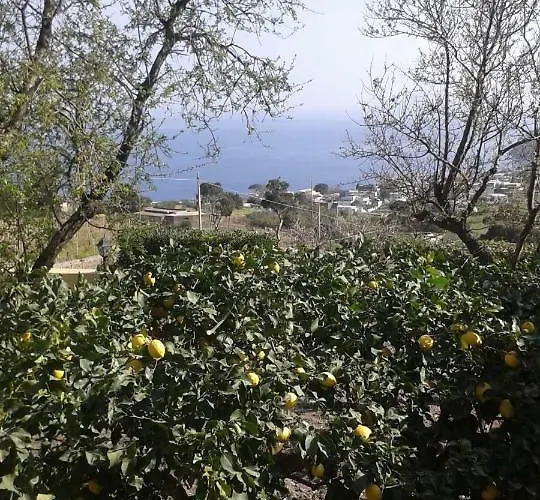 La Casa Di Titti E Jack *